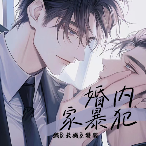 婚内家暴犯
